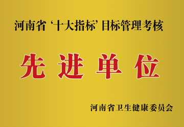河南省'十大指标'目标管理考核