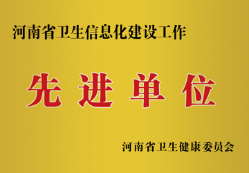 河南省卫生信息化建设工作