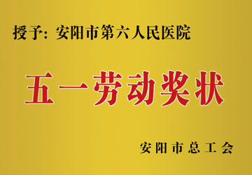 授予：安阳市第六人民医院五一劳动奖状