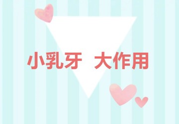 小乳牙 大作用